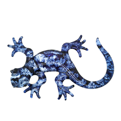 Découvrez notre sélection de Geckos bleu et noir