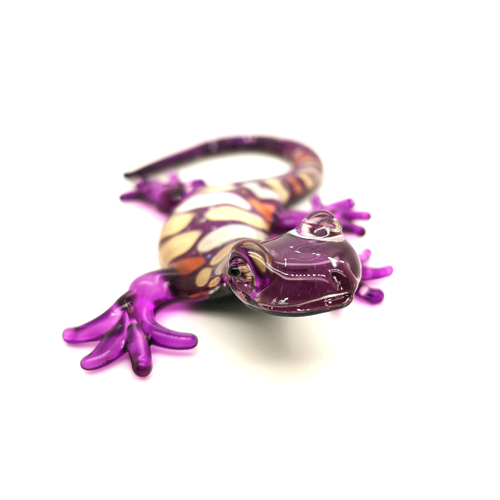 Découvrez notre sélection de Geckos violet et blanc